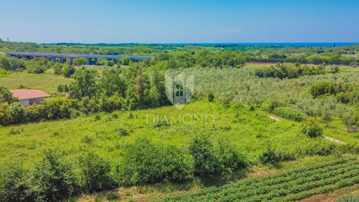 Zemljišče Brtonigla, 2.195m2