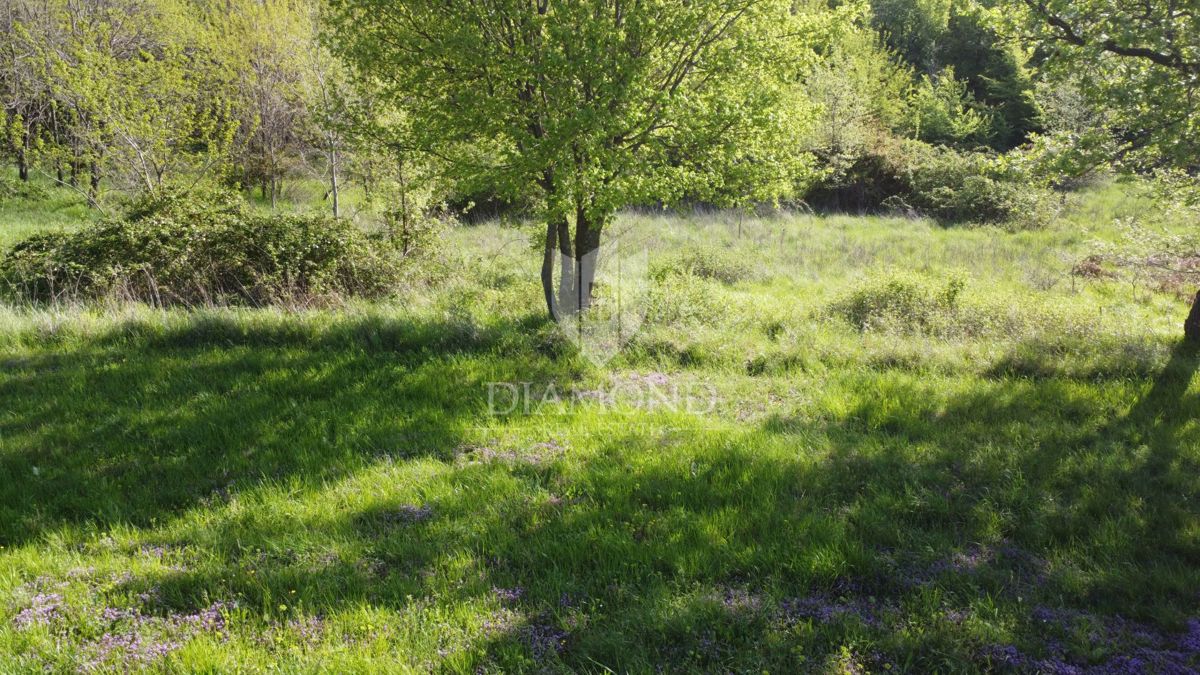 Poreč – Okolica – Popolna Gradbena Parcela za Hišo Vaših Sanj