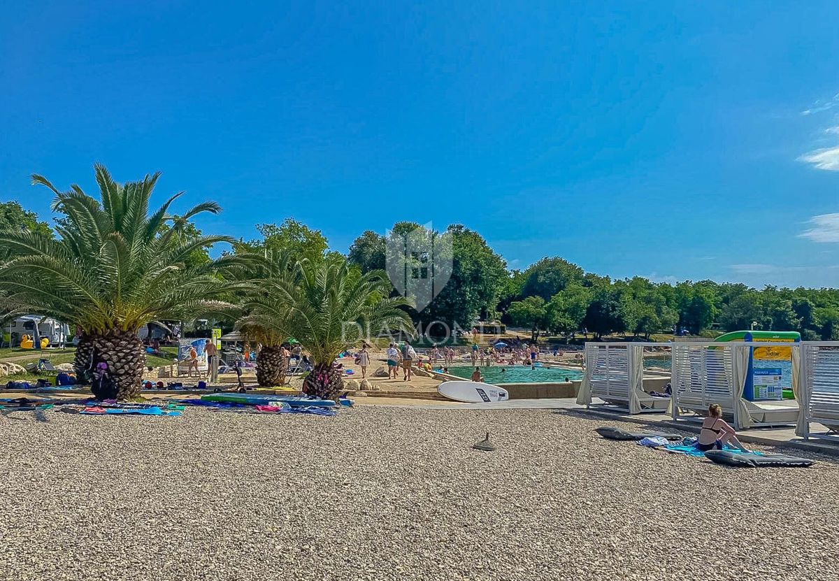 Novigrad, okolica! Apartma le 200 m od morja!