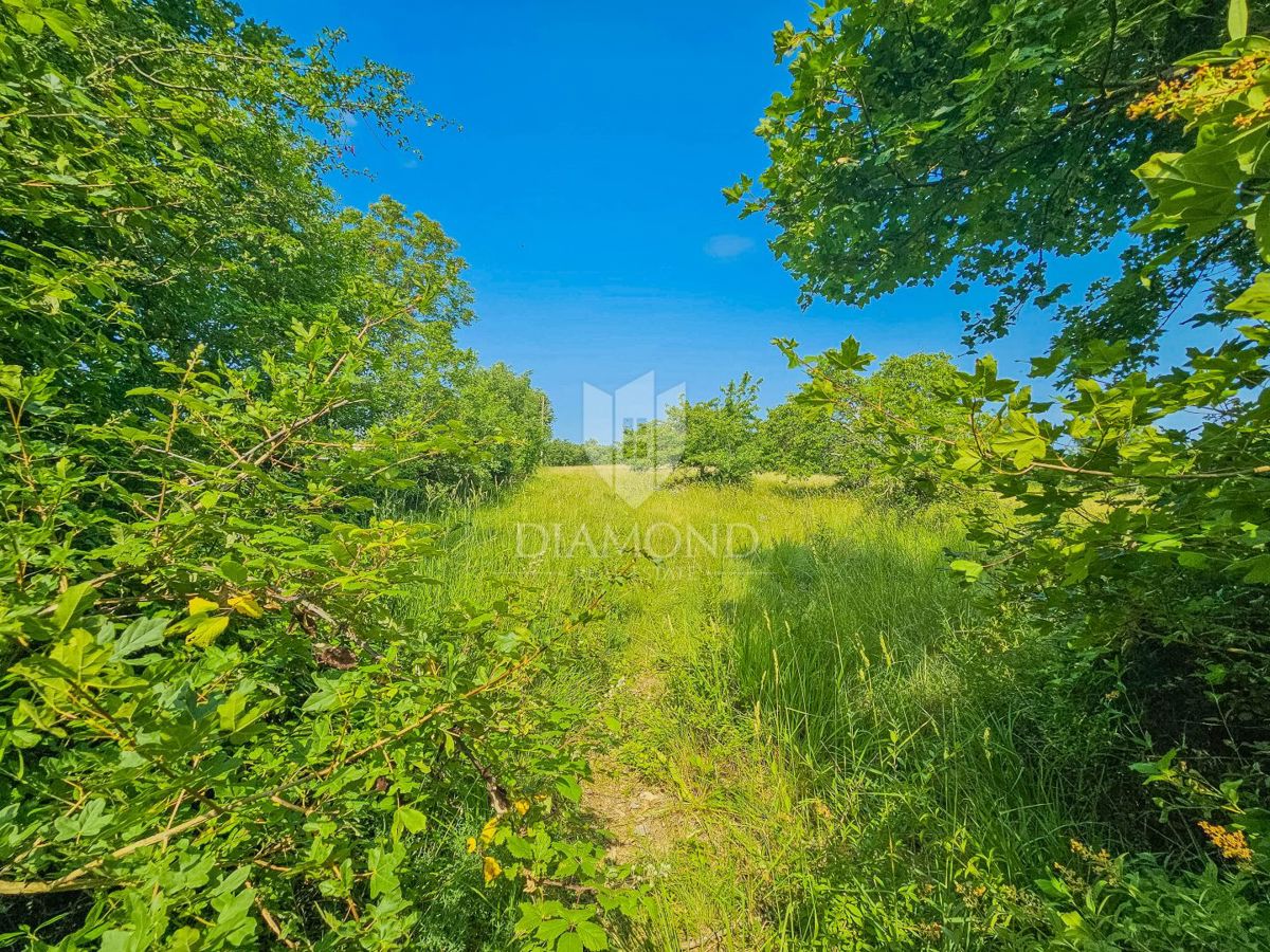 Grožnjan, zemljišče velikosti 2898 m² za gradnjo več hiš!