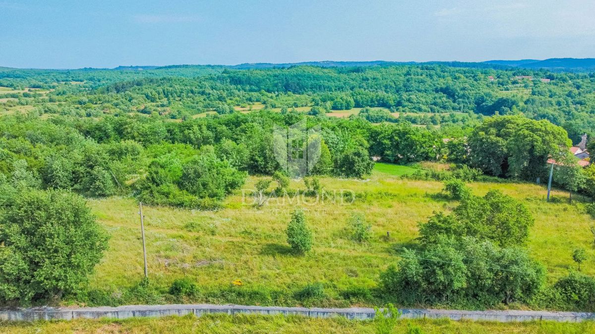 Grožnjan, zemljišče velikosti 2898 m² za gradnjo več hiš!