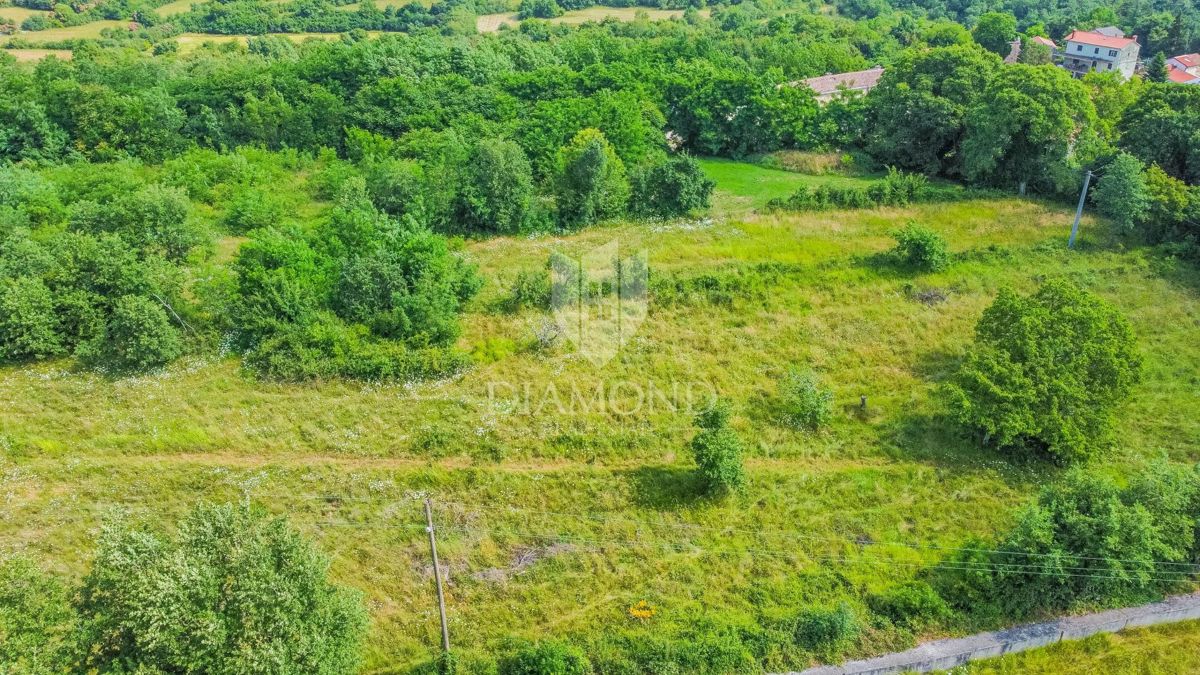 Grožnjan, zemljišče velikosti 2898 m² za gradnjo več hiš!
