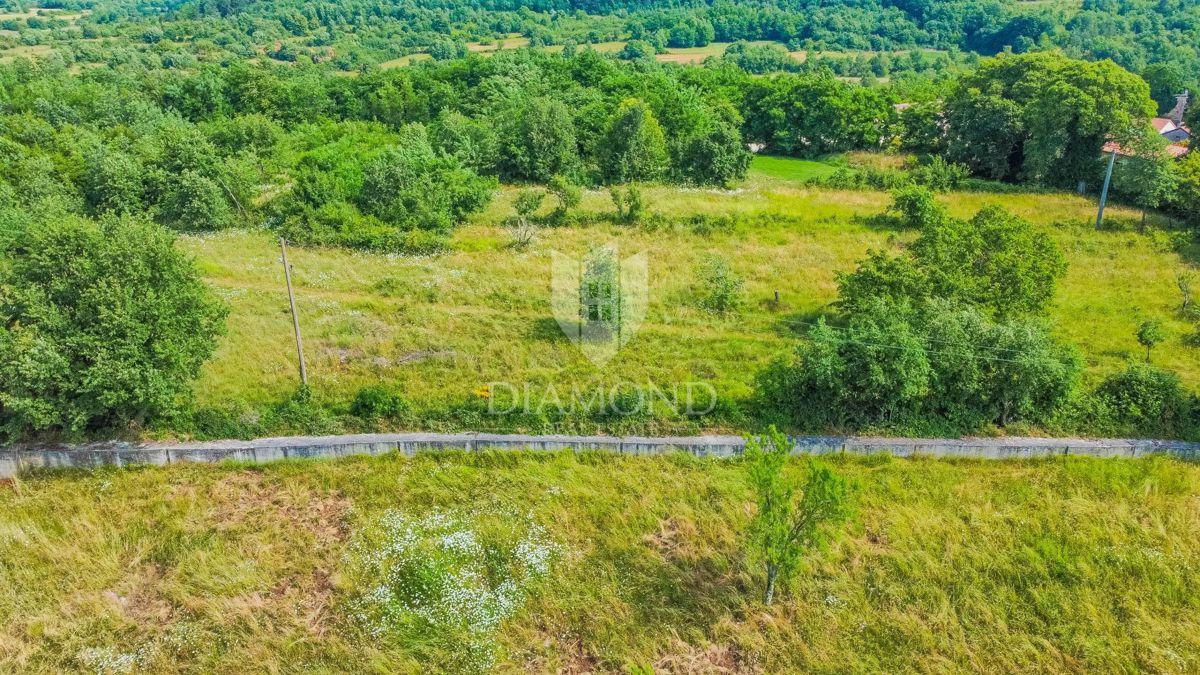 Grožnjan, zemljišče velikosti 2898 m² za gradnjo več hiš!
