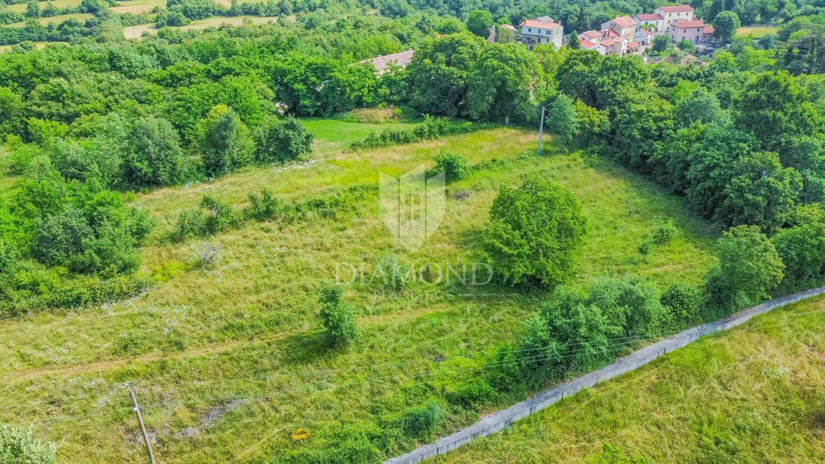 Grožnjan, zemljišče velikosti 2898 m² za gradnjo več hiš!