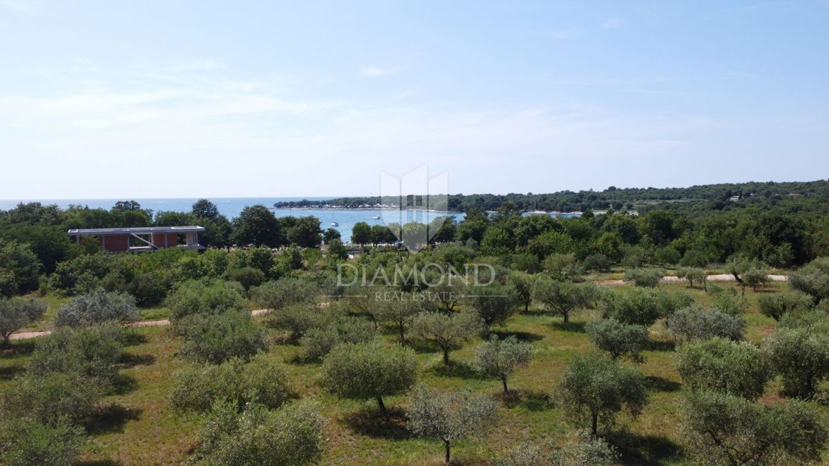 Poreč, impresivna vila na vrhunski lokaciji!
