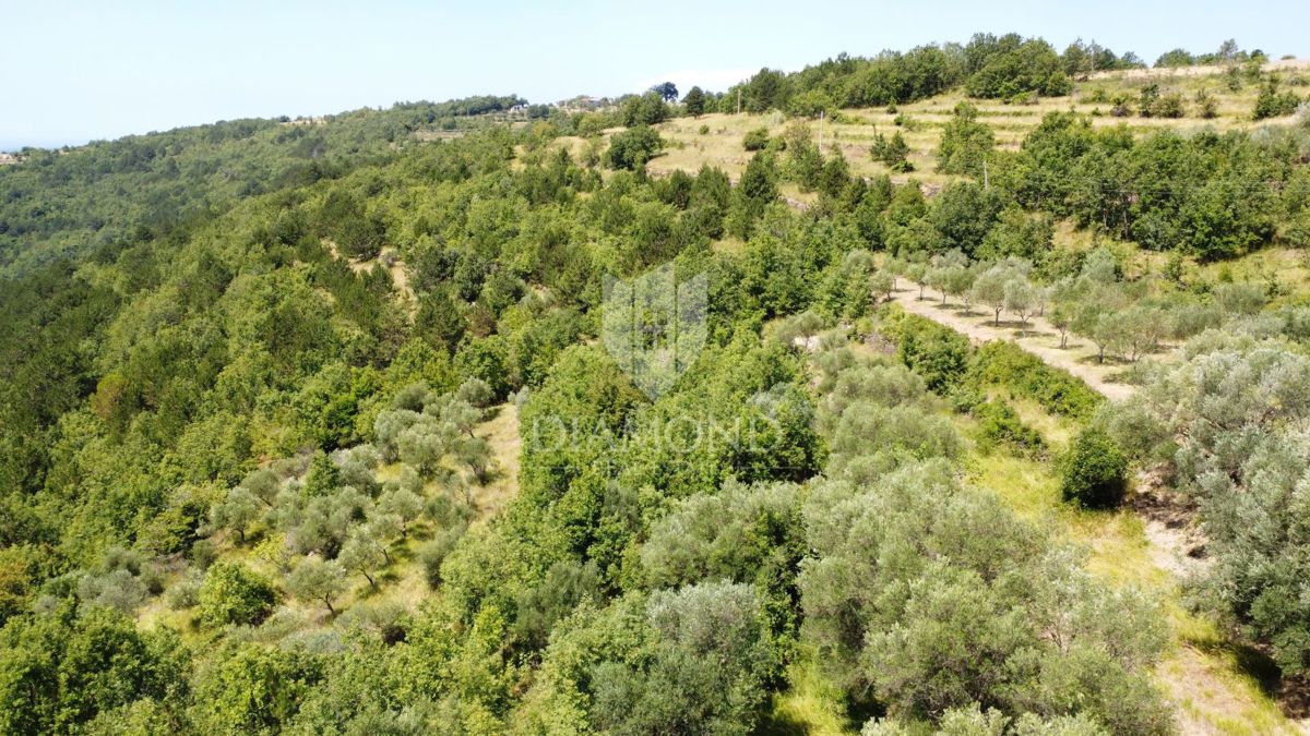  Oprtalj: okolica – Čudovito zazidljivo zemljišče