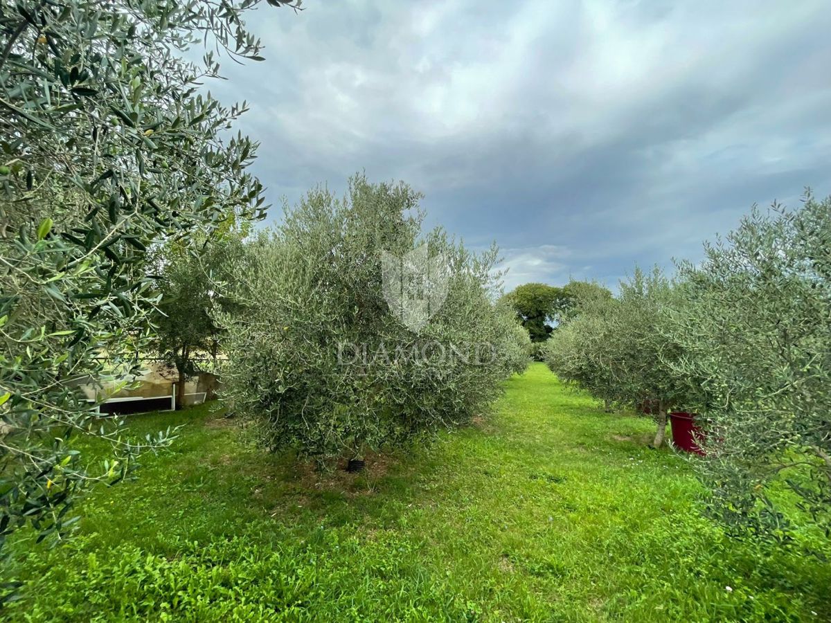 Hiša Porat, Malinska-Dubašnica, 70m2