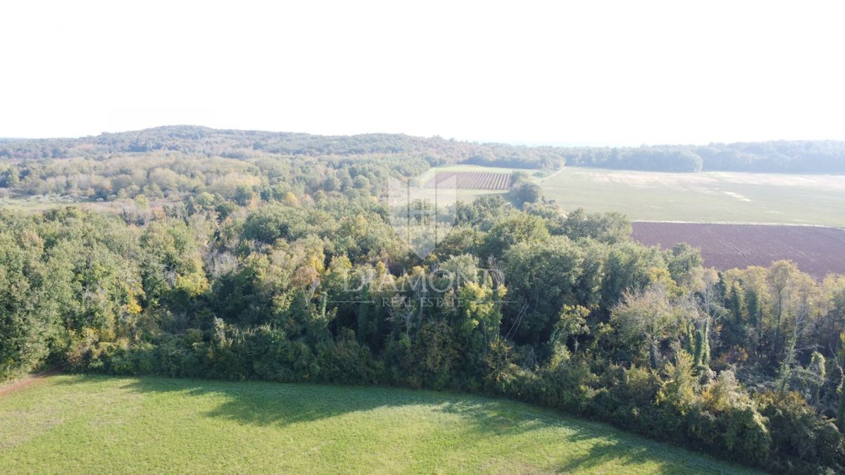 Istra, Poreč – Kmetijsko zemljišče 14.882 m²
