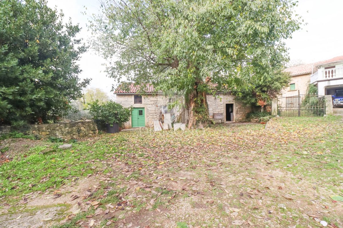 Istrsko posestvo z več objekti v bližini čudovitih plaž