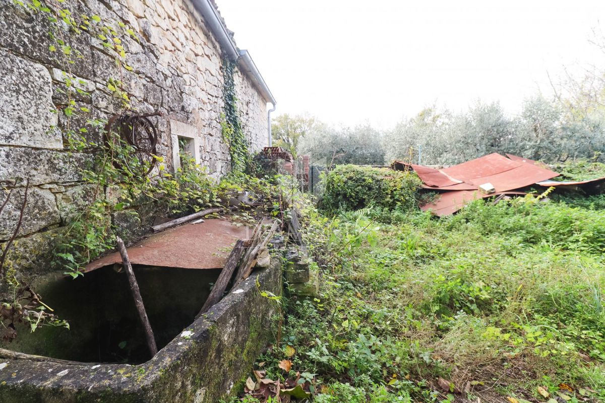 Istrsko posestvo z več objekti v bližini čudovitih plaž