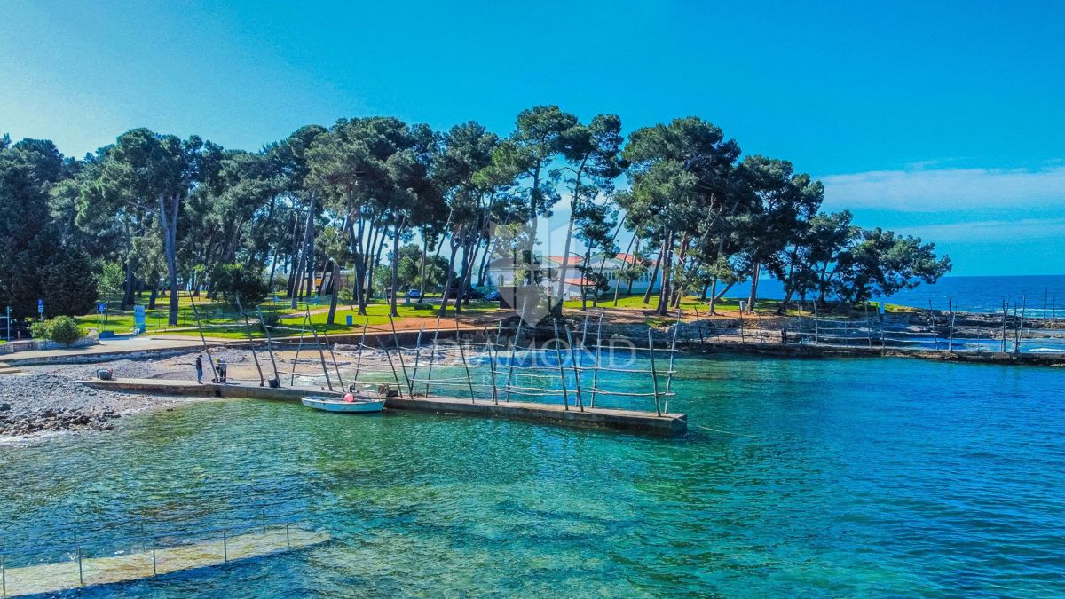 Priložnost! Savudrija, samostojna hiša 200 metrov od morja!