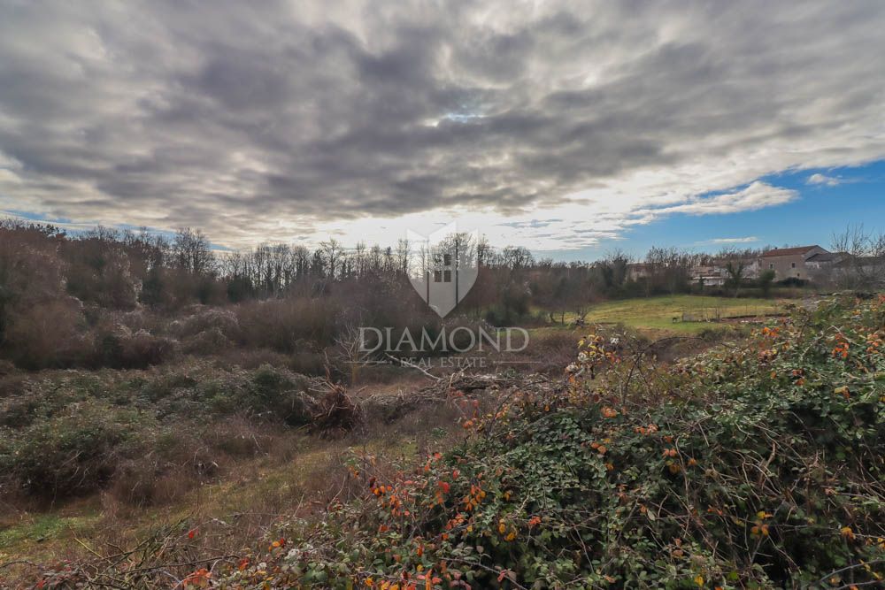 Zemljišče Beram, Pazin - Okolica, 2.898m2