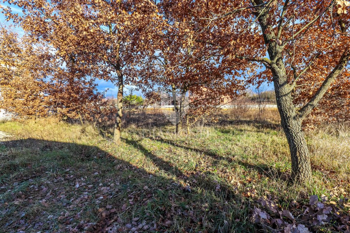 Rovinj, okolica, zemljišče za investicijo - nova hiša/3 apartmaji