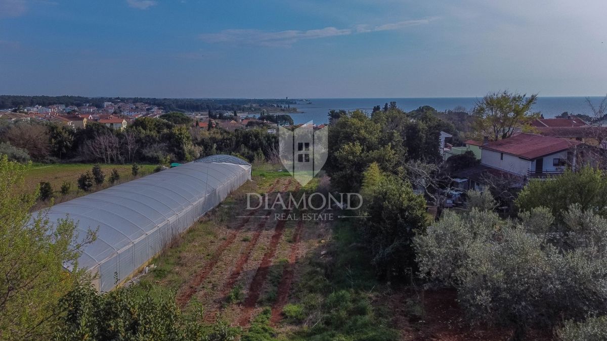 Umag, okolica, zemljišče na odlični lokaciji!