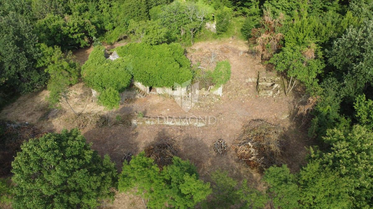 Okolica Oprtlja, 2 avtohtoni istrski hiši za obnovo na samem