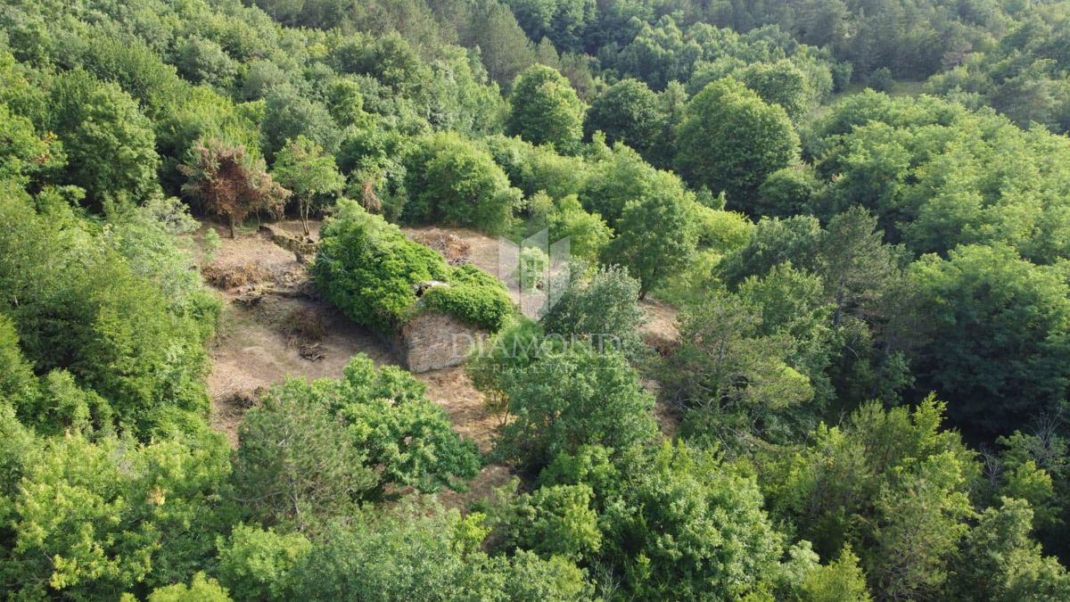 Okolica Oprtlja, 2 avtohtoni istrski hiši za obnovo na samem