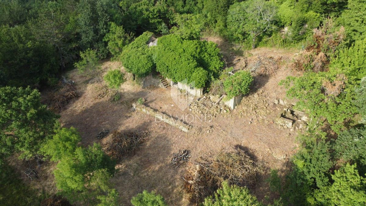 Okolica Oprtlja, 2 avtohtoni istrski hiši za obnovo na samem