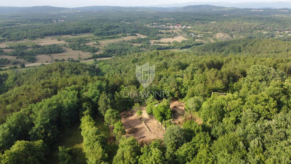 Okolica Oprtlja, 2 avtohtoni istrski hiši za obnovo na samem