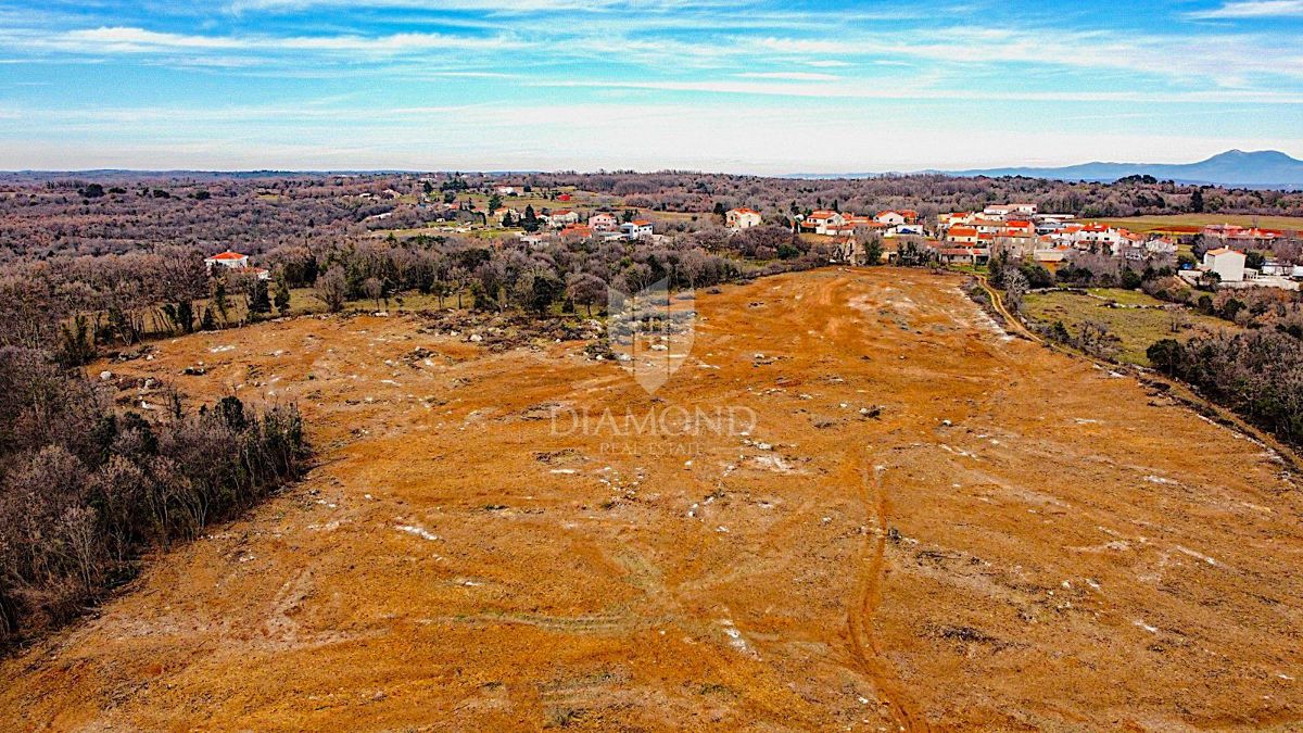 Barban, južno od Istre, veliko gradbeno zemljišče za 53 objektov
