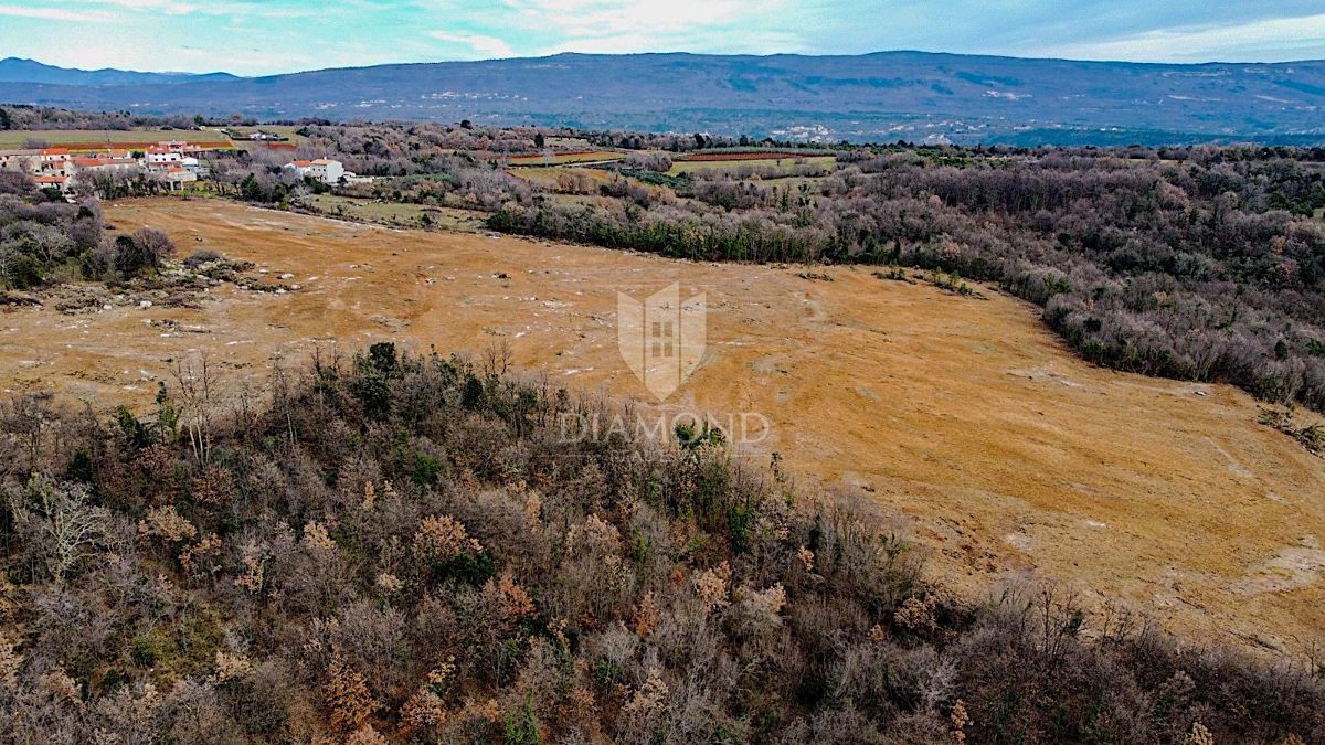 Barban, južno od Istre, veliko gradbeno zemljišče za 53 objektov