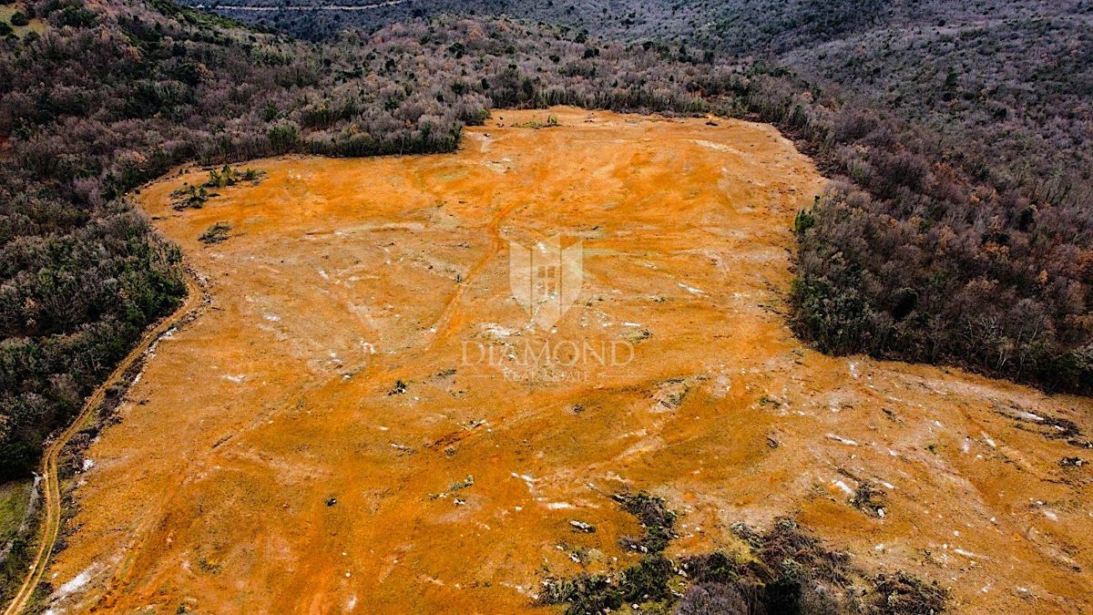 Barban, južno od Istre, veliko gradbeno zemljišče za 53 objektov
