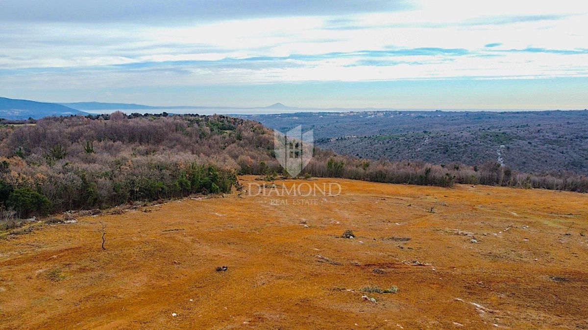 Barban, južno od Istre, veliko gradbeno zemljišče za 53 objektov