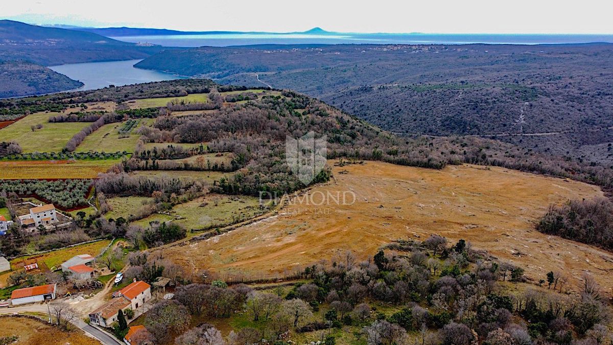 Barban, južno od Istre, veliko gradbeno zemljišče za 53 objektov