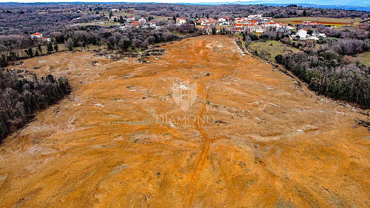 Barban, južno od Istre, veliko gradbeno zemljišče za 53 objektov