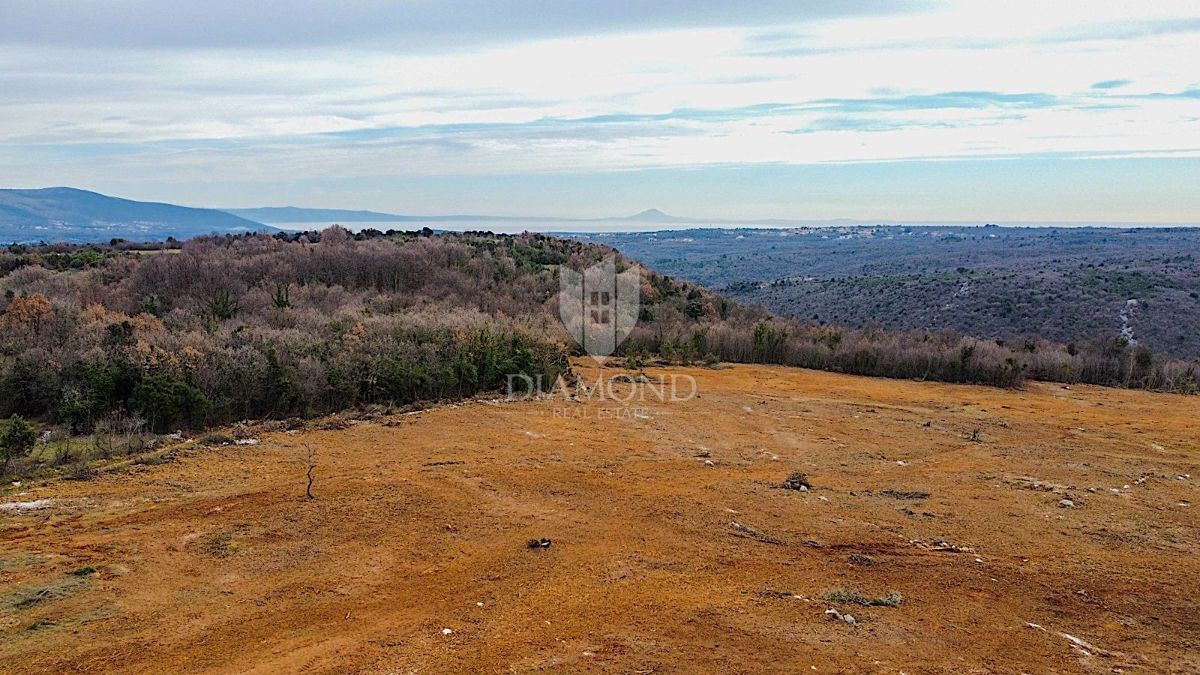 Barban, južno od Istre, veliko gradbeno zemljišče za 53 objektov