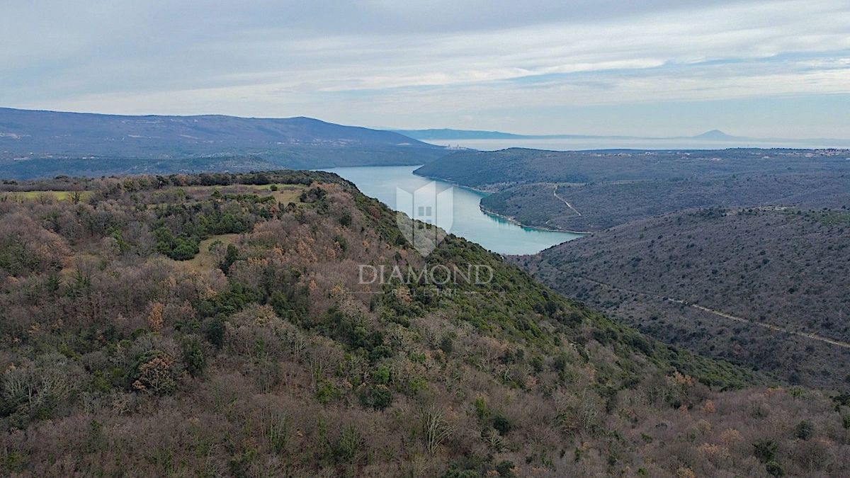 Barban, južno od Istre, veliko gradbeno zemljišče za 53 objektov