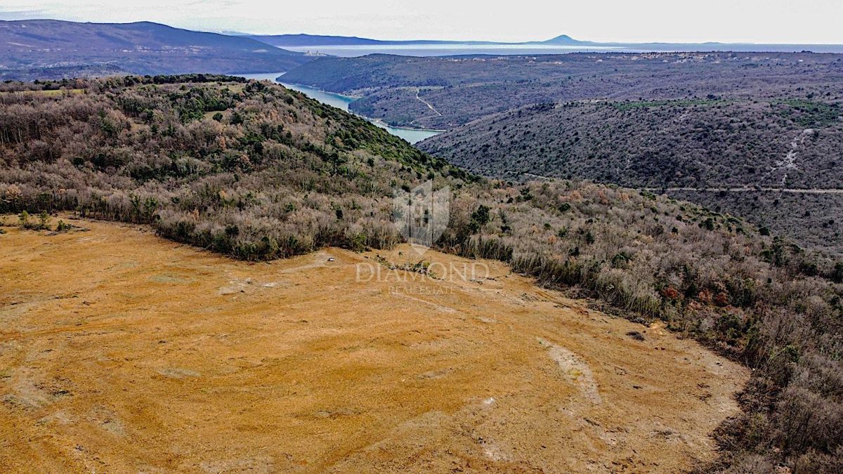 Barban, južno od Istre, veliko gradbeno zemljišče za 53 objektov