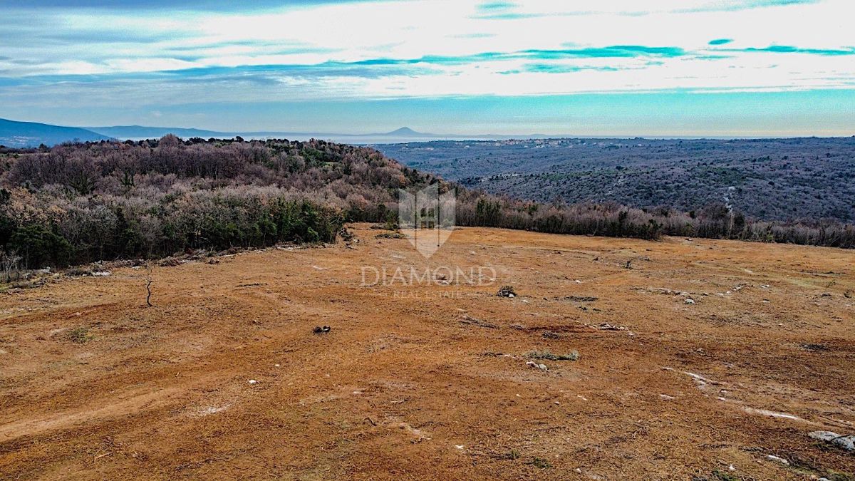 Barban, južno od Istre, veliko gradbeno zemljišče za 53 objektov