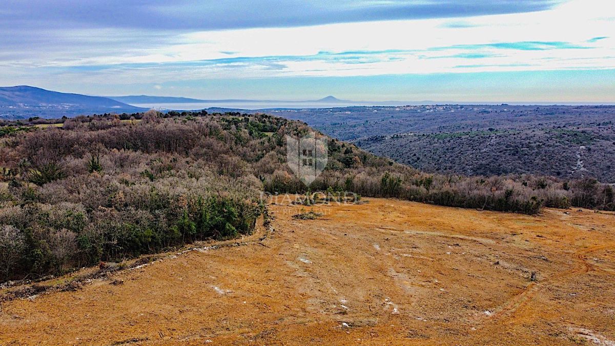 Barban, južno od Istre, veliko gradbeno zemljišče za 53 objektov