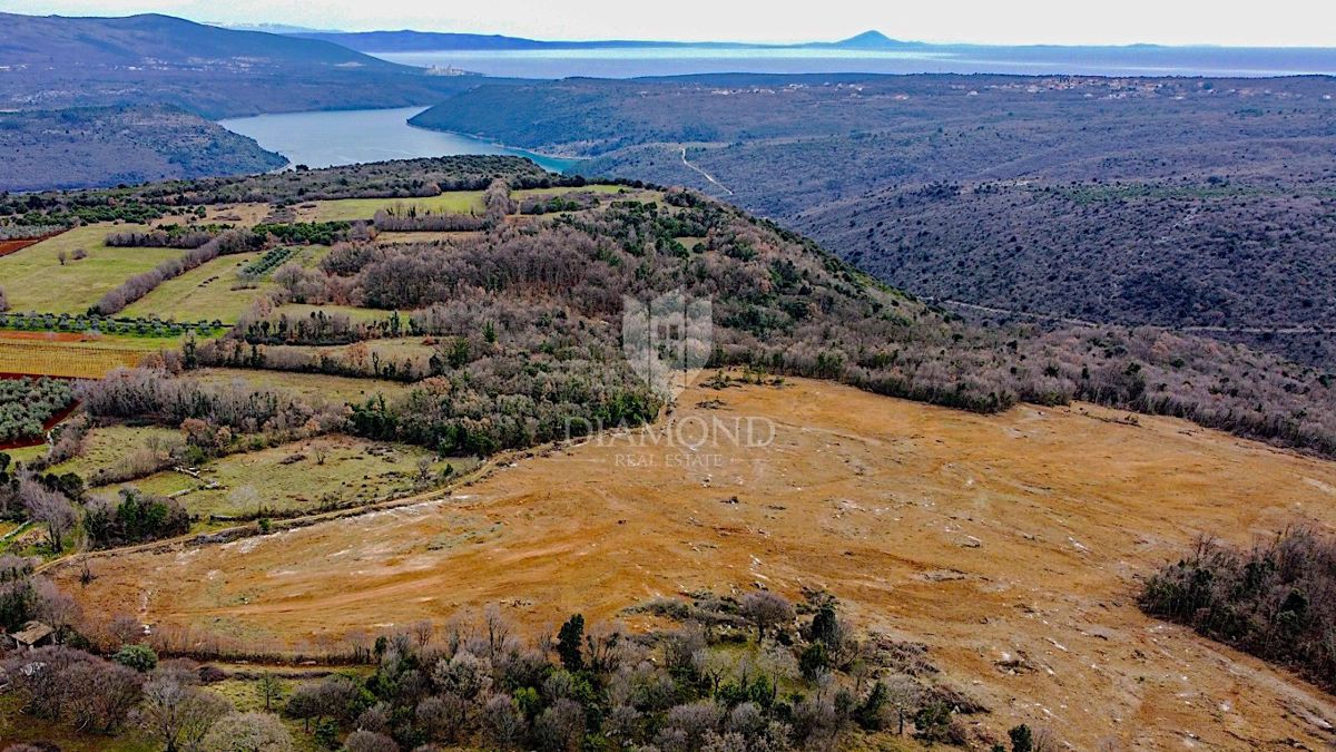 Barban, južno od Istre, veliko gradbeno zemljišče za 53 objektov