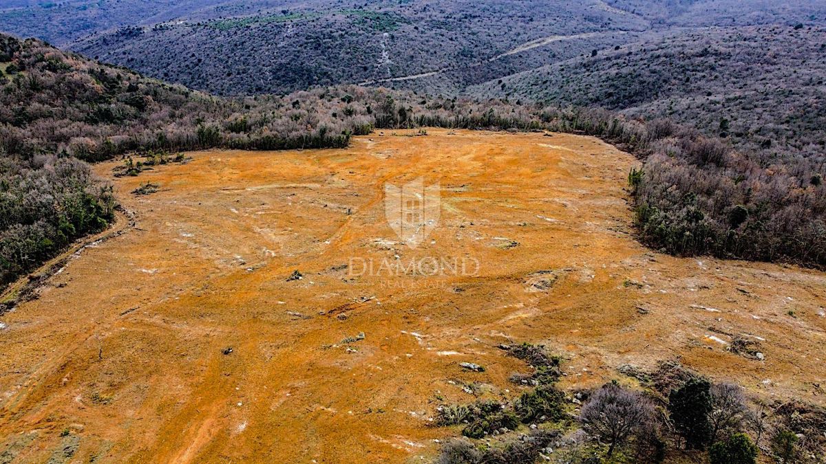 Barban, južno od Istre, veliko gradbeno zemljišče za 53 objektov