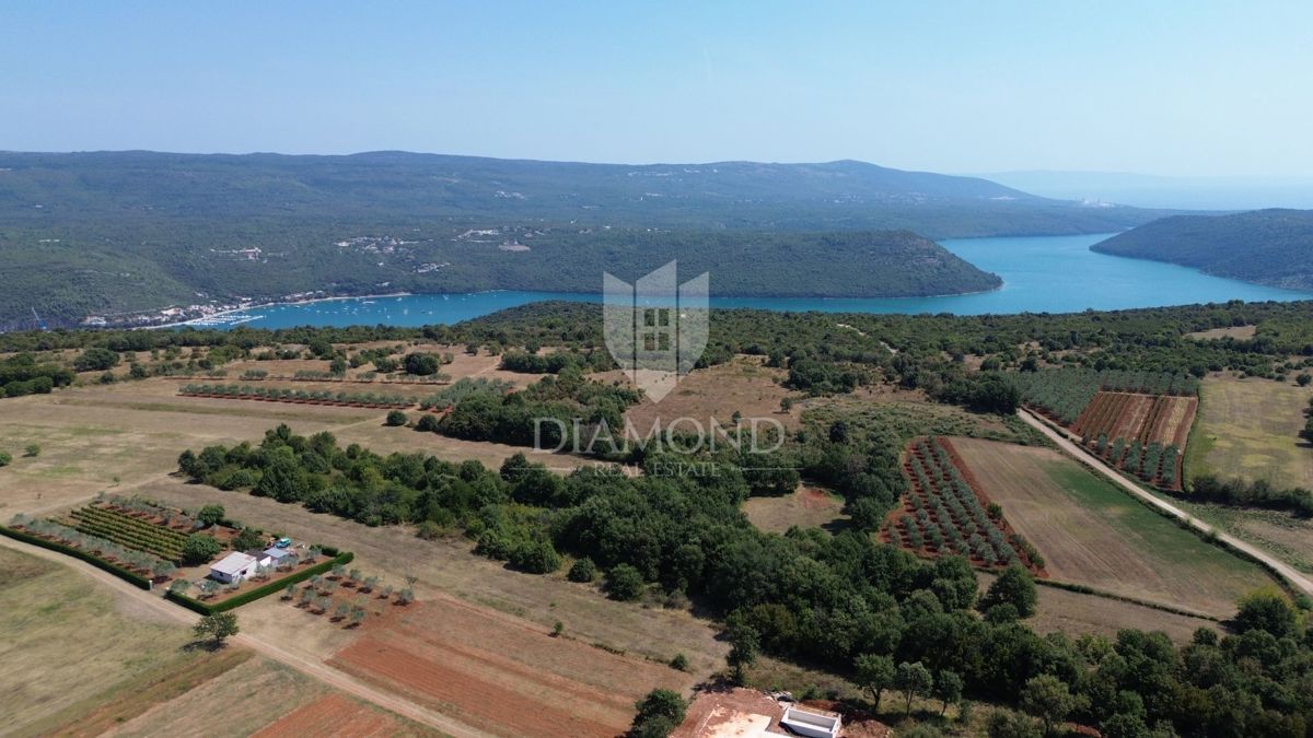 Barban, okolica, zazidljiva parcela blizu morja