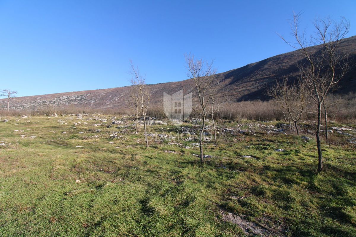 Kršan, okolica, zazidljivo zemljišče z lepim razgledom