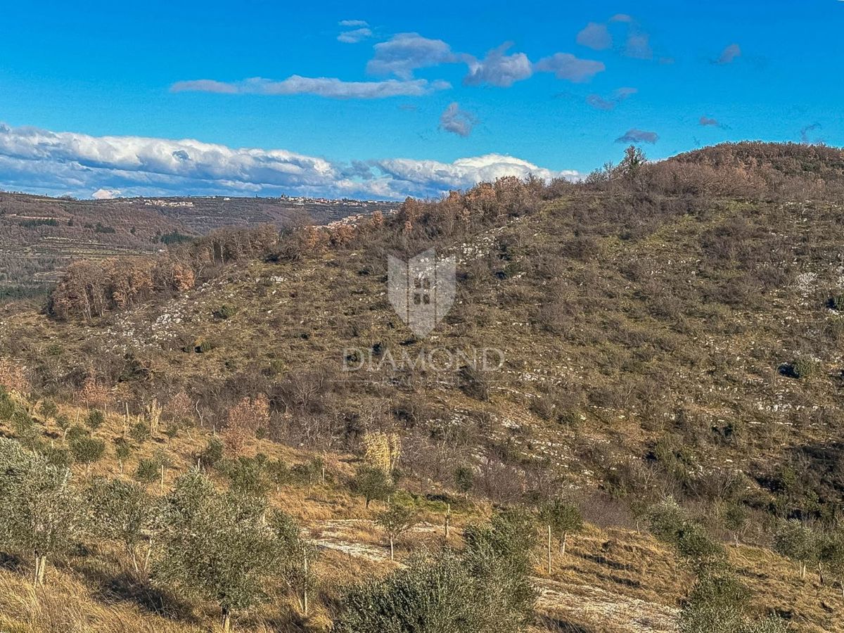 Istra, Buje, okolica, zemljišče na zaželjeni lokaciji!