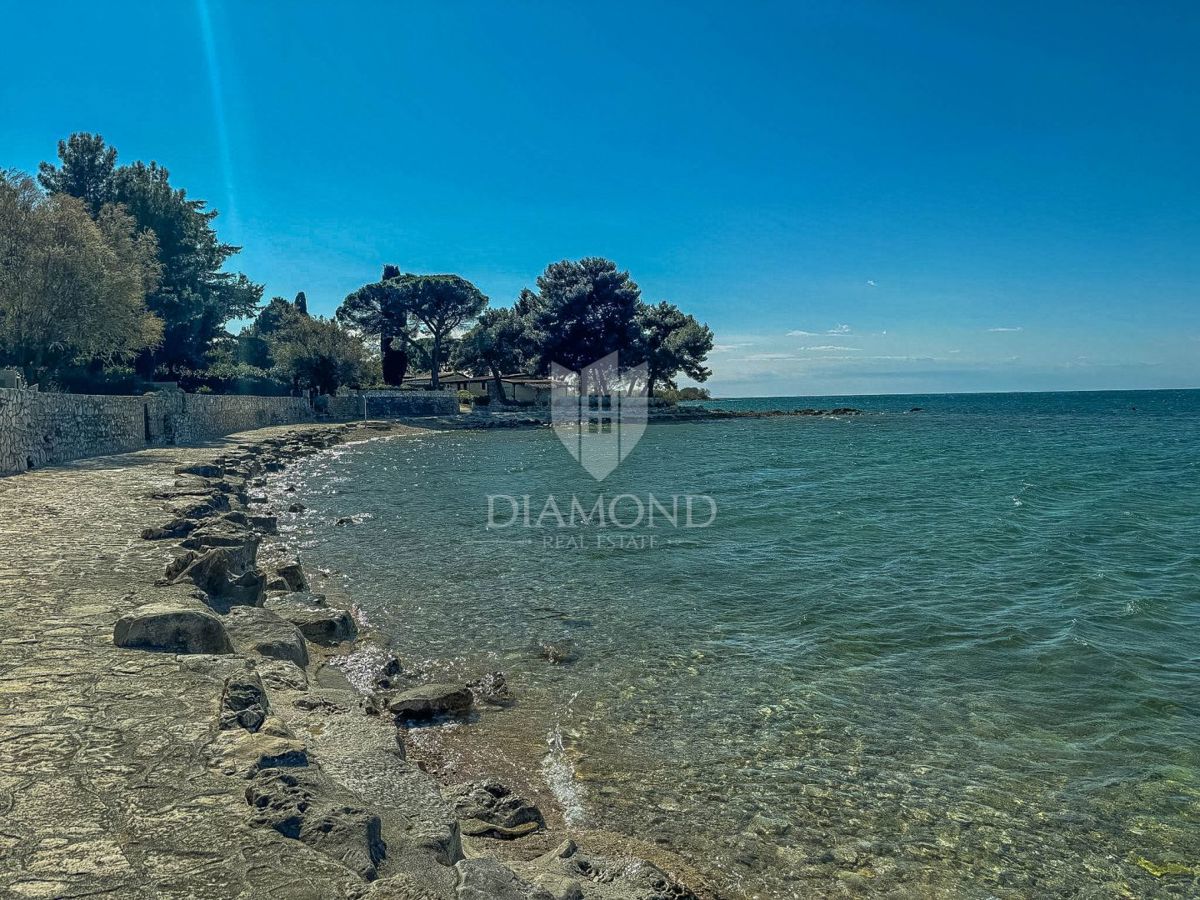 Novigrad okolica, samostojna hiša 3. vrsta do morja!