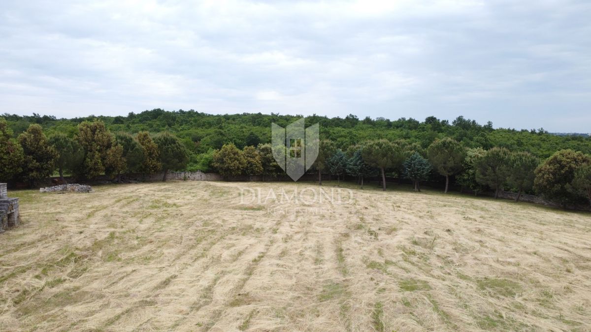 Sveti Lovreč – okolica: Zasebnost in priložnost v Istri