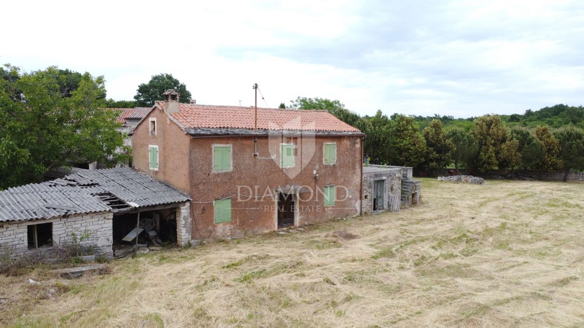 Sveti Lovreč – okolica: Zasebnost in priložnost v Istri