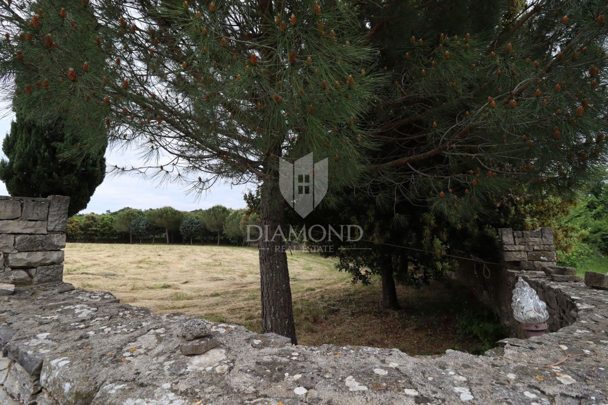 Sveti Lovreč – okolica: Zasebnost in priložnost v Istri