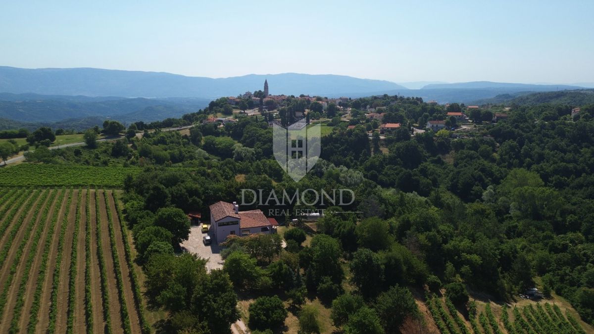 Osrednja Istra, Gračišće, čudovita hiša obdana z gozdom
