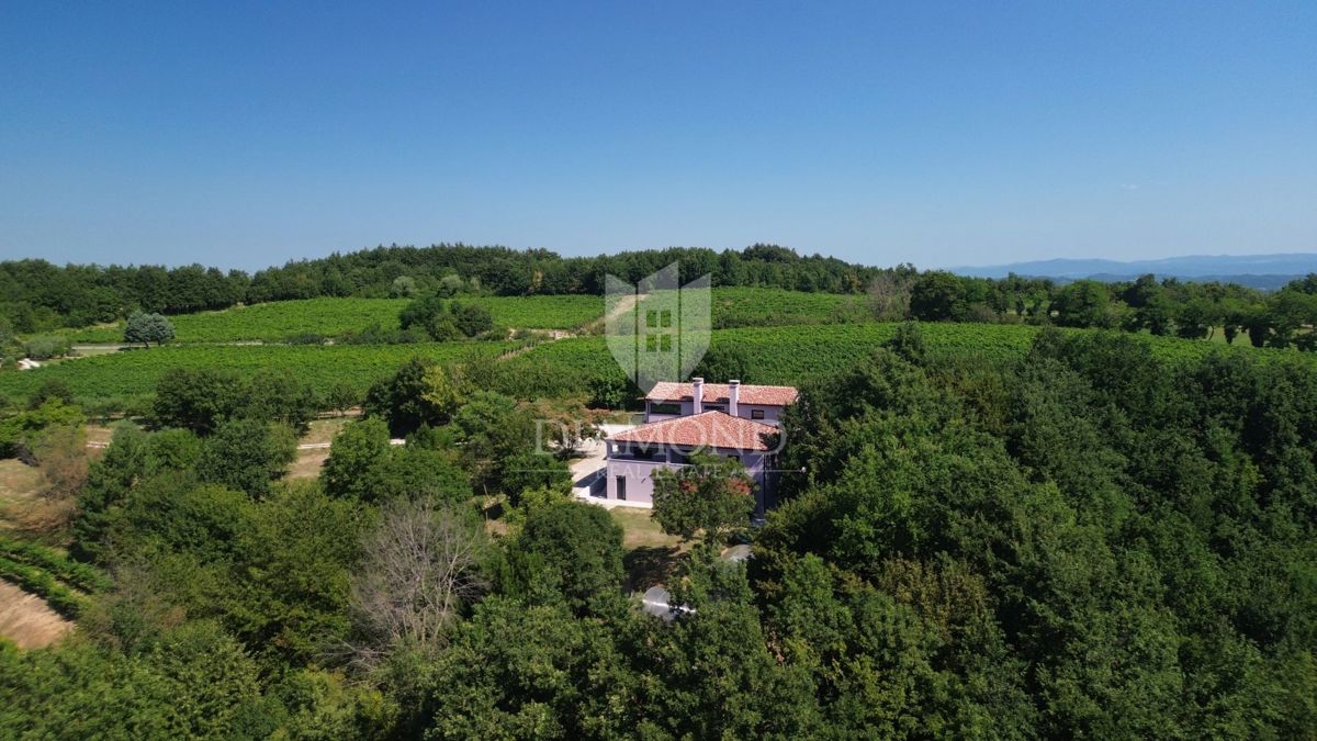 Osrednja Istra, Gračišće, čudovita hiša obdana z gozdom