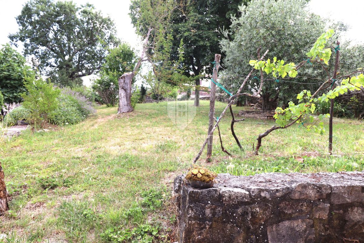   Poreč, okolica – Čudovita kamnita hiša s konobo