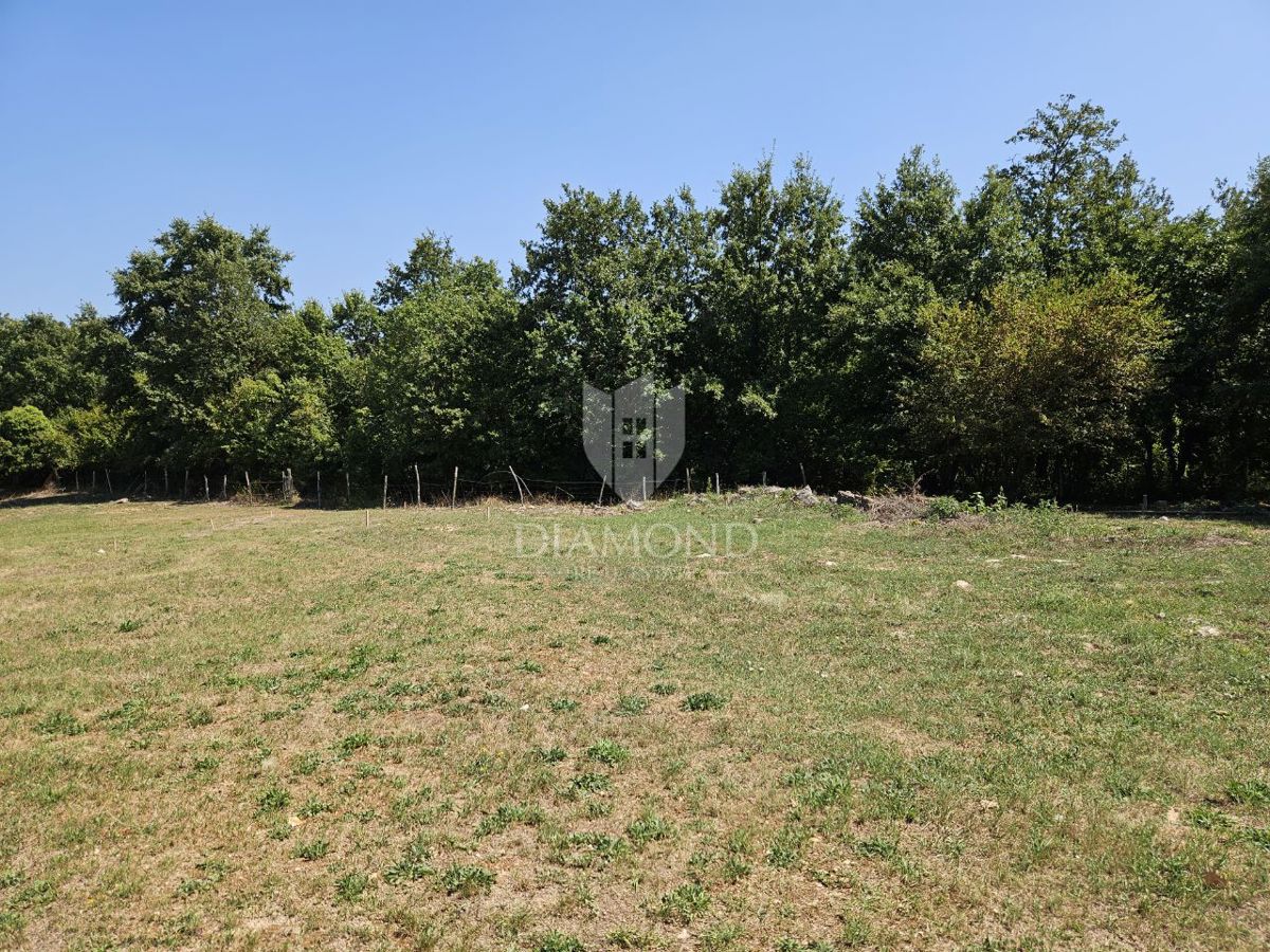 Okolica Poreča, atraktivno gradbeno zemljišče!