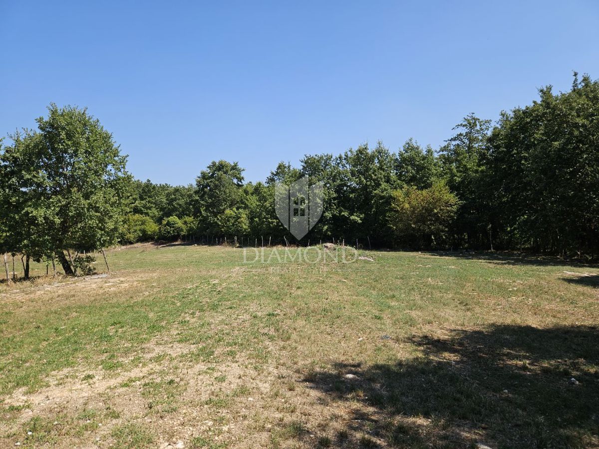 Okolica Poreča, atraktivno gradbeno zemljišče!