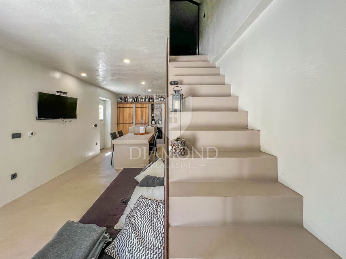 Okolica Oprtlja, dizajnerska kamnita hiša z bazenom