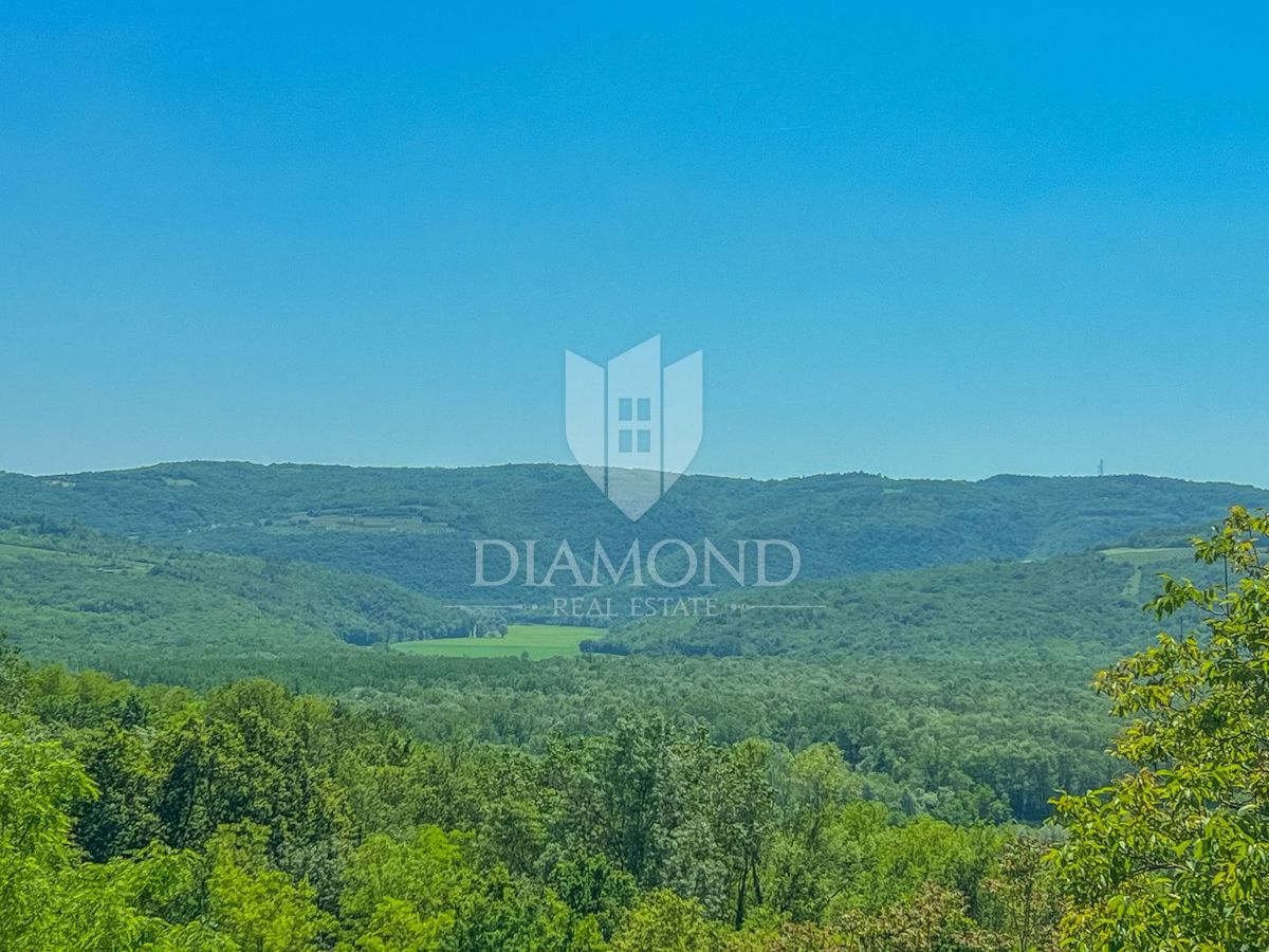 Okolica Oprtlja, dizajnerska kamnita hiša z bazenom