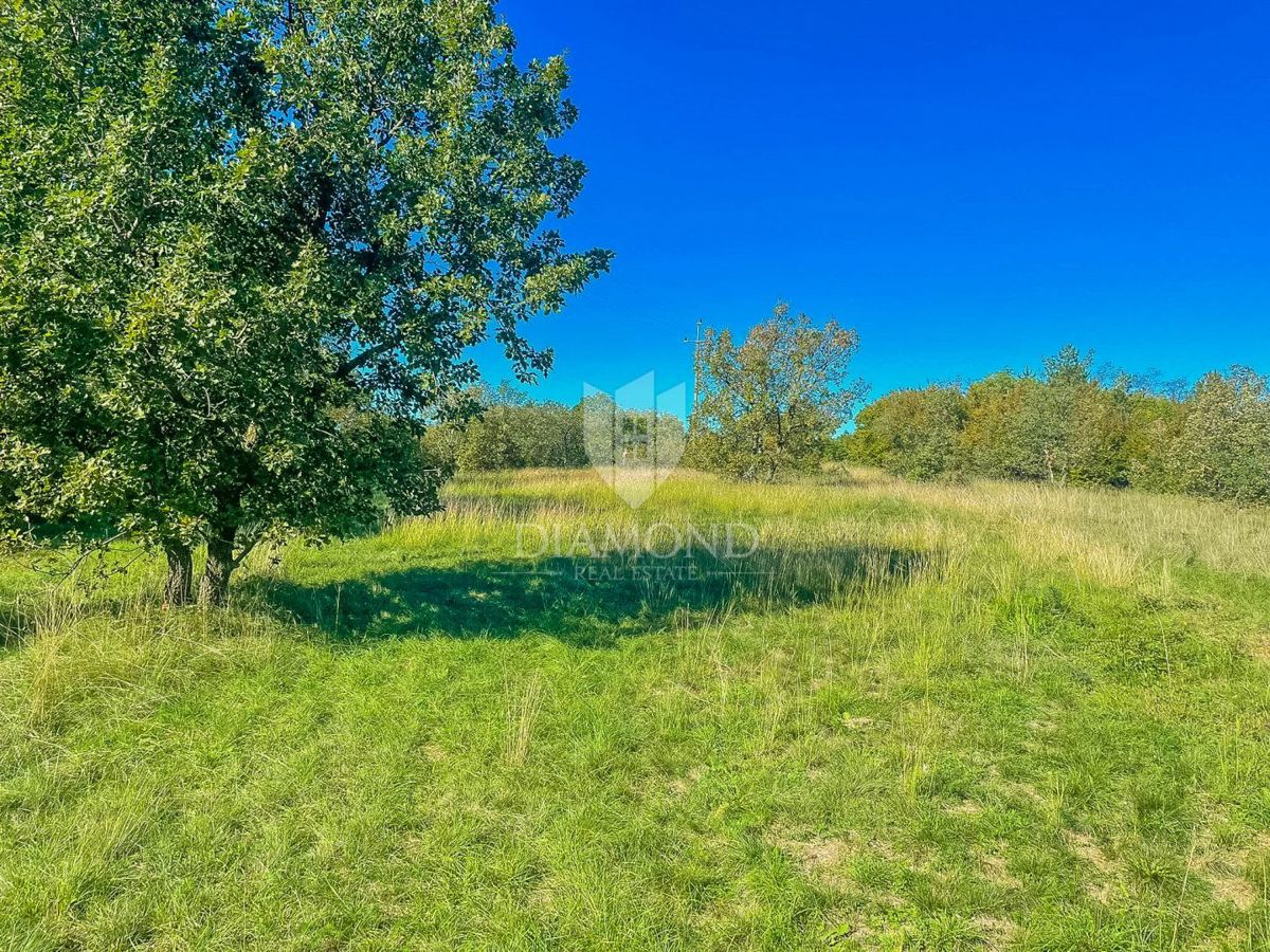 Zemljišče Grožnjan, 2.989m2